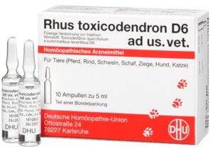 RHUS TOXICODENDRON D 6 Ampullen vet.