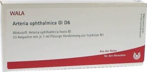 Arteria ophthalmica Gl D6 Ampullen