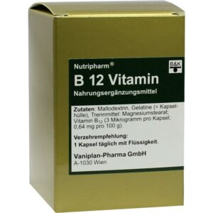 B 12