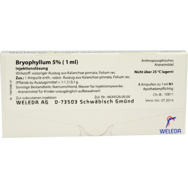 BRYOPHYLLUM 5% 1 ml Injektionslösung