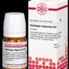 SOLIDAGO VIRGAUREA D 2