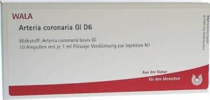 Arteria coronaria Gl D6 Ampullen