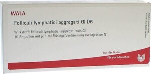 Folliculi lymphatici aggregati Gl D6 Ampullen