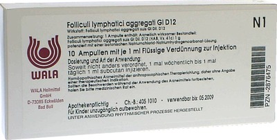 Folliculi lymphatici aggregati GL D 12 Ampullen