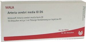 Arteria cerebri media GL D5