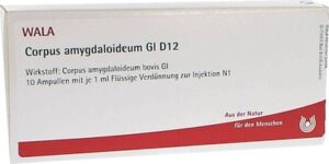 Corpus amygdaloideum GL D 12 Ampullen