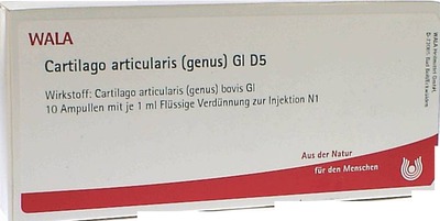 Cartilago articularis (genus) Gl D5 Ampullen