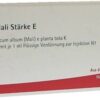 Iscucin Mali Stärke E