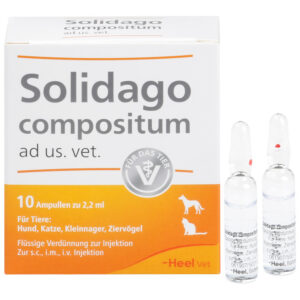 Solidago compositum ad us. vet.