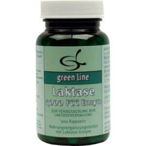 LAKTASE 4.000 FCC Enzym Kapseln