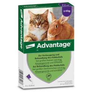 Advantage 80mg Für große Katzen und große Zierkaninchen