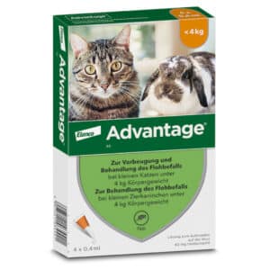 Advantage 40 mg für kleine Katzen und kleine Zierkaninchen