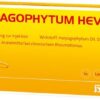 HARPAGOPHYTUM HEVERT INJEKT