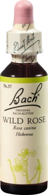 BACHBLÜTEN Original Wild Rose Nr.37