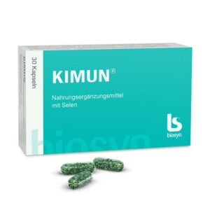 KIMUN