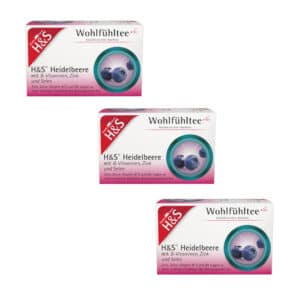 H&S Wohlfühltee Heidelbeere mit B-Vitaminen