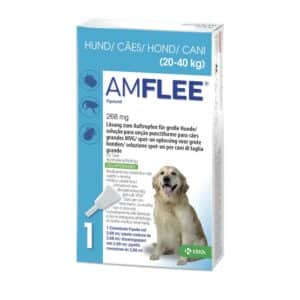 Amflee 268 mg Lösung zum Auftropfen für große Hunde 20-40kg