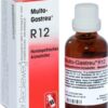 MULTO GASTREU R 12 Tropfen zum Einnehmen