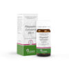 PFLÜGERPLEX Collinsonia 310 H Tabletten