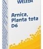 ARNICA PLANTA tota D 6 Globuli