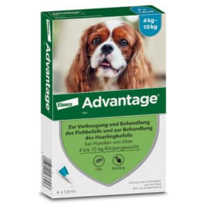 Advantage 100 Lösung zum Auftropfen für Hunde 4-10 kg
