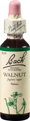 BACHBLÜTEN Original  Walnut Nr.33