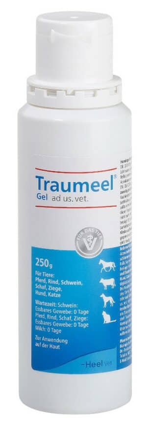 Traumeel Gel ad us. vet.