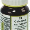 CALCAREA CARBONICA Komplex Tabletten Nr.24