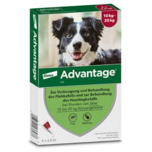 Advantage 250 Lösung für Hunde 10-25 kg