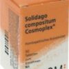 SOLIDAGO COMPOSITUM Cosmoplex