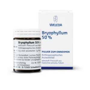 BRYOPHYLLUM 50% Pulver zum Einnehmen