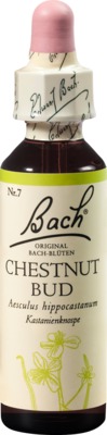 BACHBLÜTEN Original Chestnut Bud Nr.7