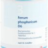 BIOCHEMIE DHU 3 Ferrum phosphoricum D 6