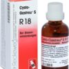 CYSTO GASTREU S R 18 Tropfen zum Einnehmen