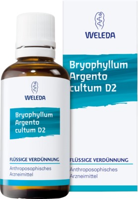 BRYOPHYLLUM ARGENTO cultum D 2 Dilution