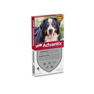 Advantix Spot-on für Hunde 40-60kg
