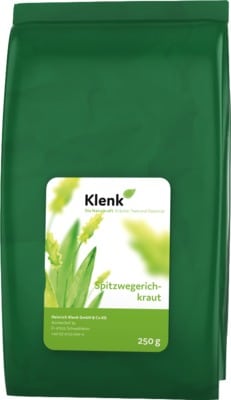 SPITZWEGERICHKRAUT Tee